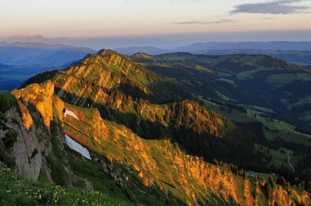 Alpin & Wellness Resort Hotel Ludwig Royal Hotel